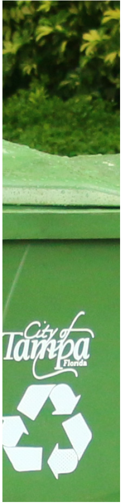 Green recycling bin marked with the City of Tampa, Florida logo, surrounded by greenery.