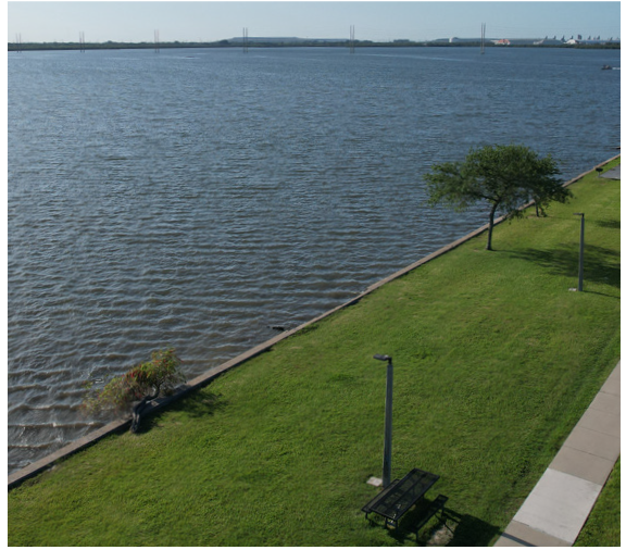 A view of a calm body of water with a grassy shoreline, a bench, and distant structures under a clear sky.