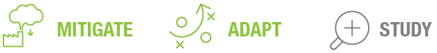 Three icons representing actions: mitigate, adapt, and study, illustrated with simple designs and green and gray colors.