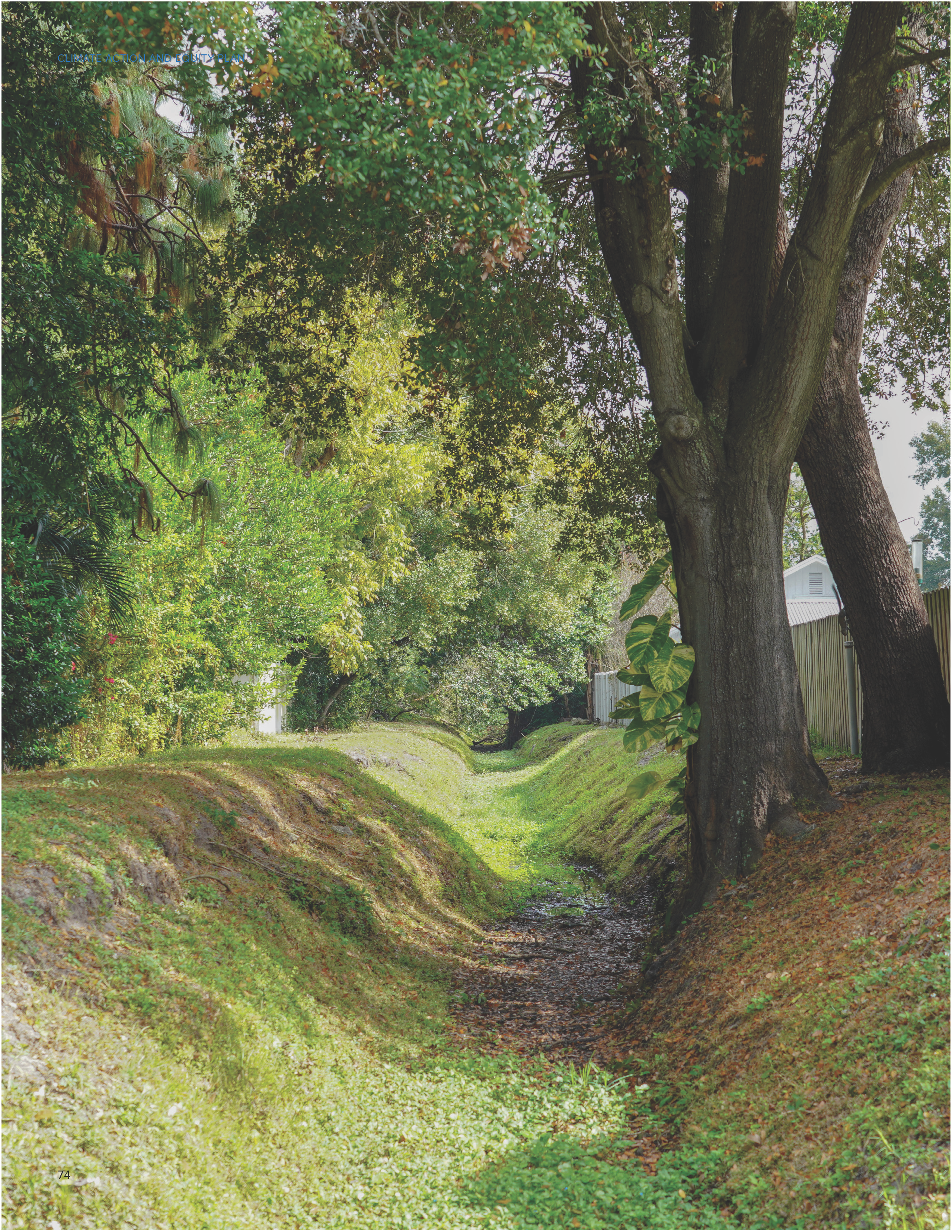 A green, overgrown drainage ditch surrounded by trees and foliage, with a clear sky in the background.