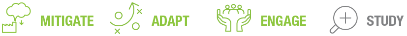 Icons representing four concepts: mitigate, adapt, engage, and study, in green and gray colors.