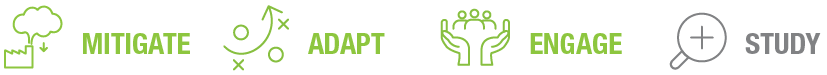 Four icons representing concepts: mitigate, adapt, engage, and study, illustrated with simple graphics in green and gray colors.