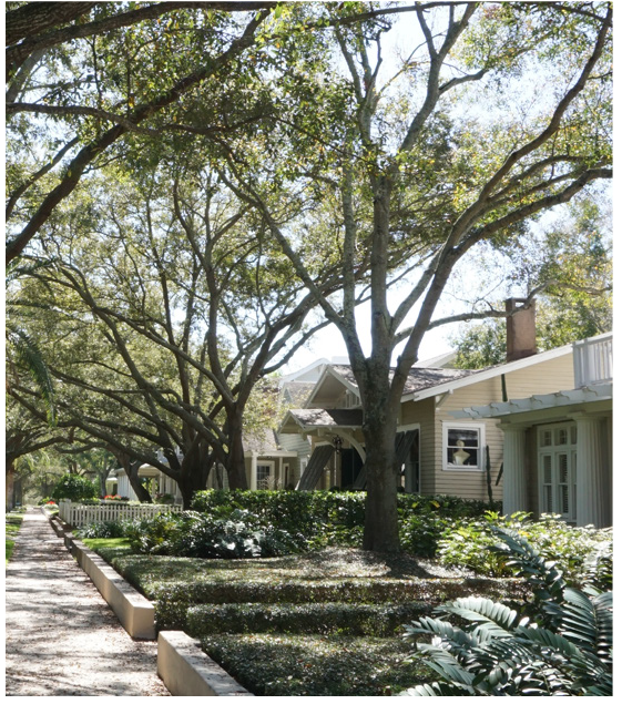 Tree-lined pathway beside houses, featuring lush greenery and a tranquil atmosphere on a sunny day.