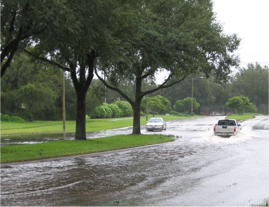 Two cars navigating a flooded street surrounded by trees and greenery on a rainy day.