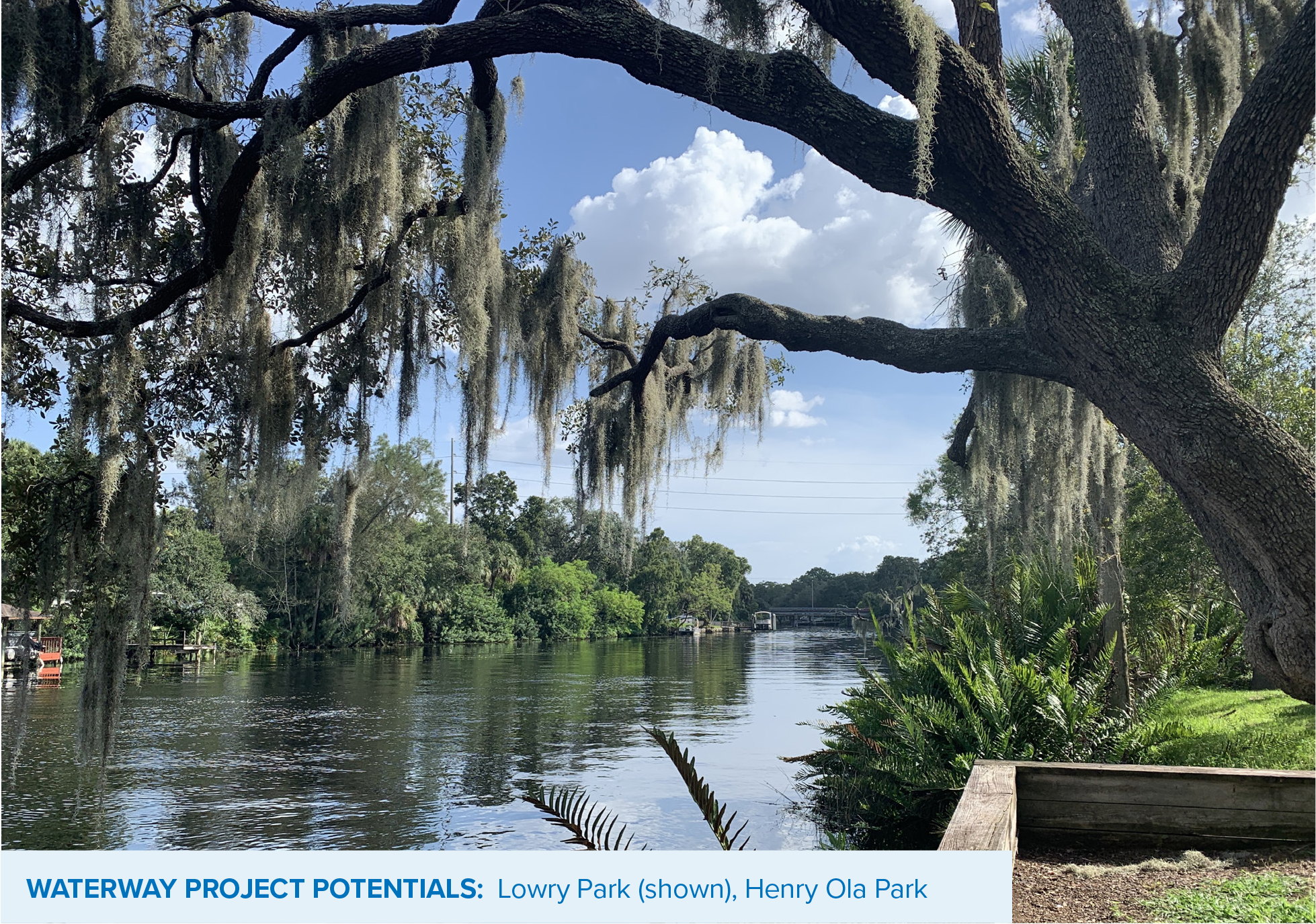 Scenic view of a river surrounded by trees with Spanish moss, featuring Lowry Park and Henry Ola Park in the project area.
