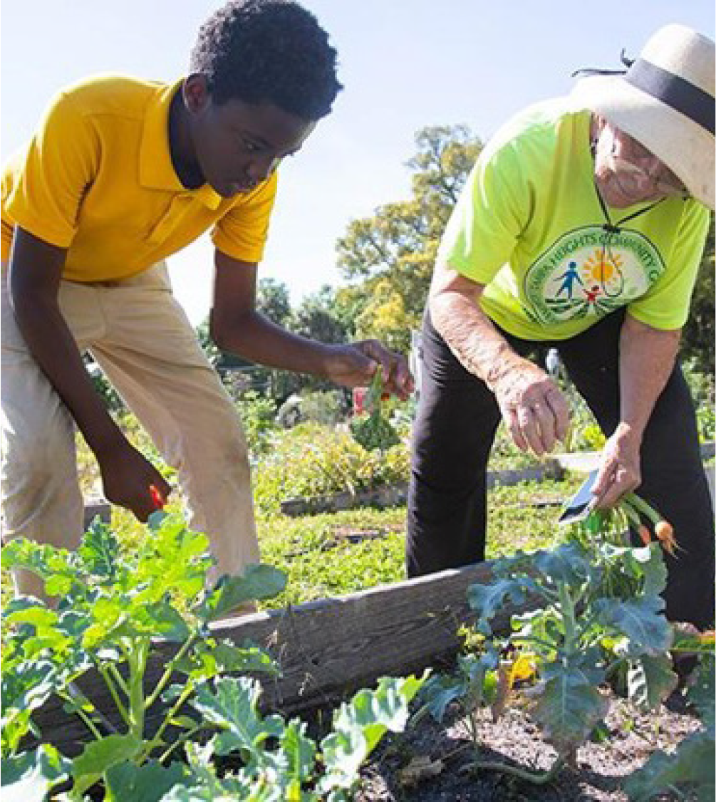 A young boy and an elderly woman gardening together in a community garden, tending to plants and enjoying the outdoors.