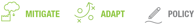 Text elements representing strategy concepts: Mitigate, Adapt, Policy, with corresponding icons in a modern graphic style.