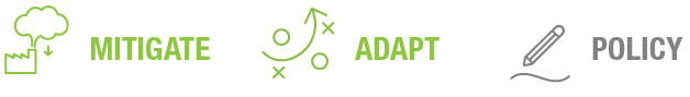 Text graphic featuring the words 'Mitigate,' 'Adapt,' and 'Policy' with corresponding symbols, emphasizing environmental strategies.