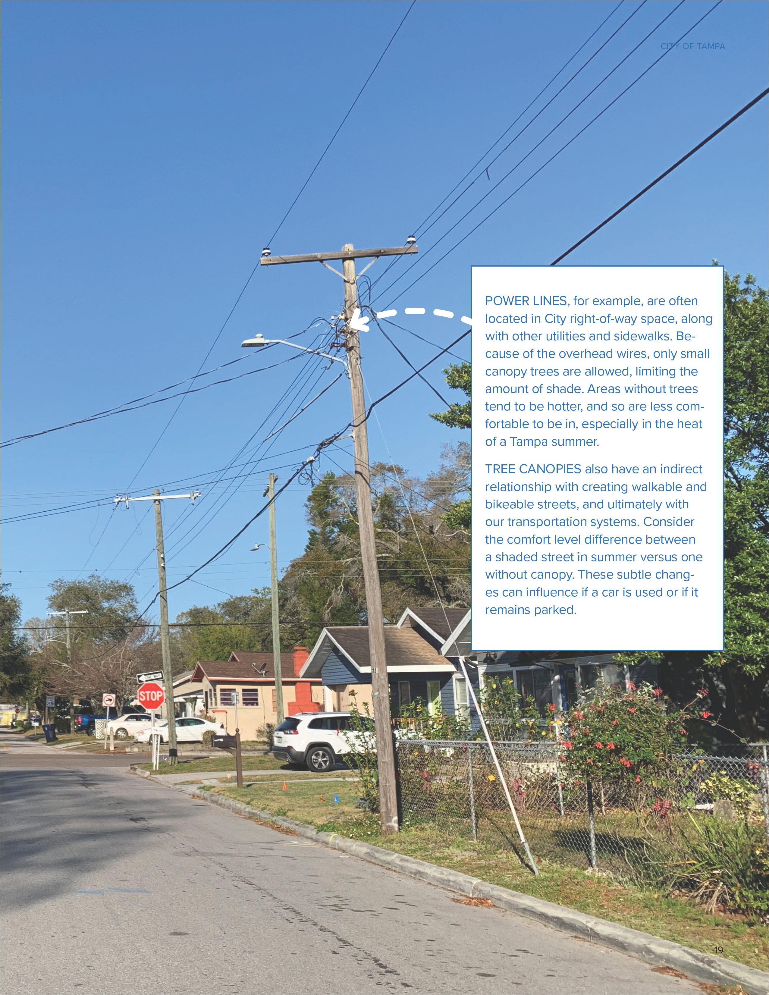 A street view showing power lines and trees, discussing their impact on shade, heat, and urban planning in Tampa.