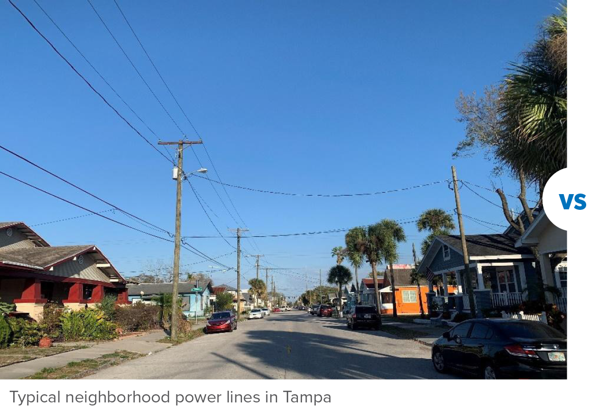 View of a residential street in Tampa, featuring houses, palm trees, and overhead power lines against a clear blue sky.