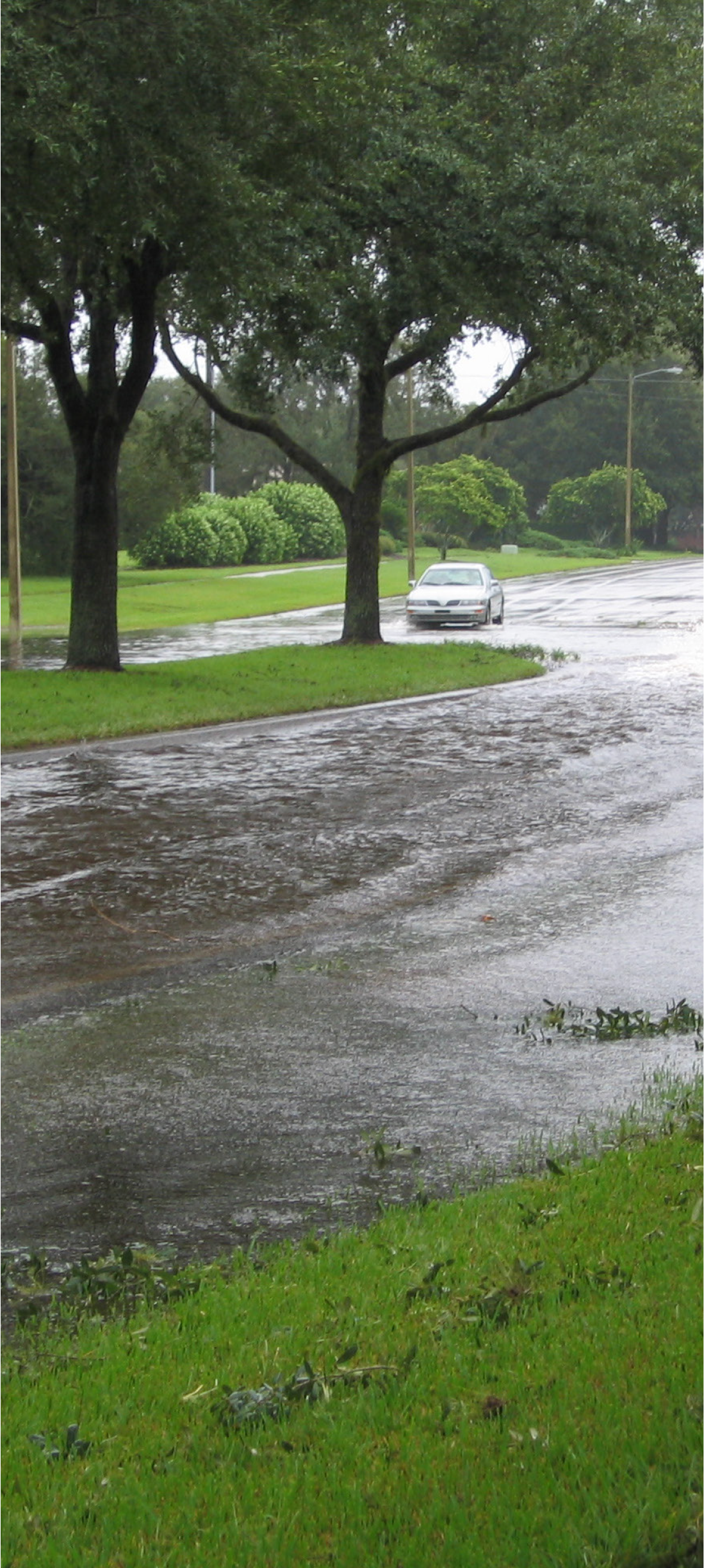 A flooded street with standing water and a car driving through, surrounded by trees and greenery.