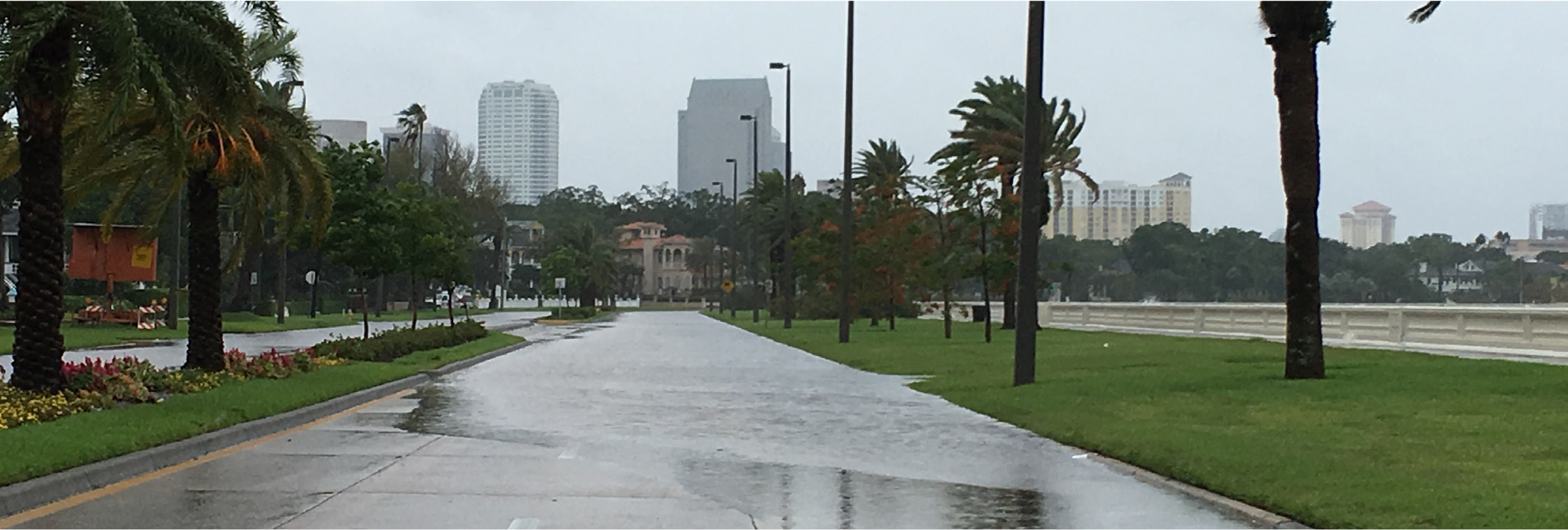 Flooded street surrounded by palm trees and buildings under overcast skies, indicating rainy weather.