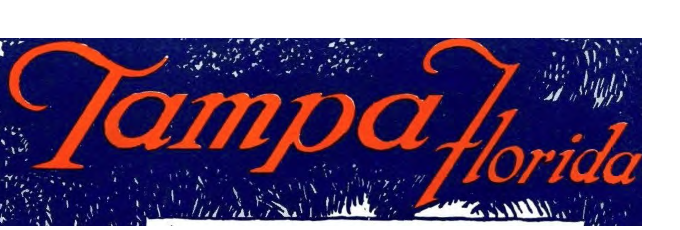 Text design featuring the words 'Tampa' in orange and 'florida' in white on a blue background.