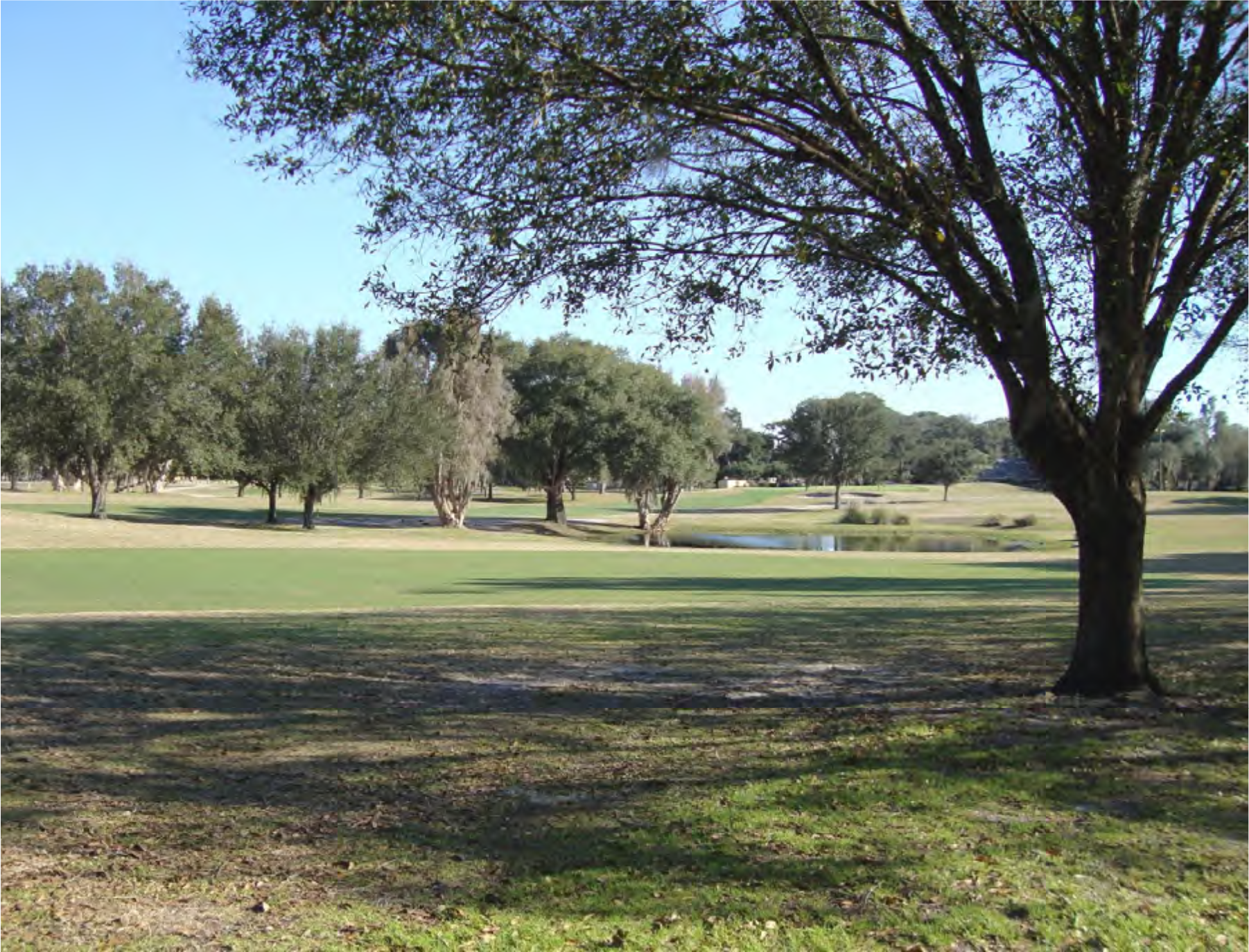 A serene golf course landscape featuring green grass, trees, and a small pond under a clear blue sky.