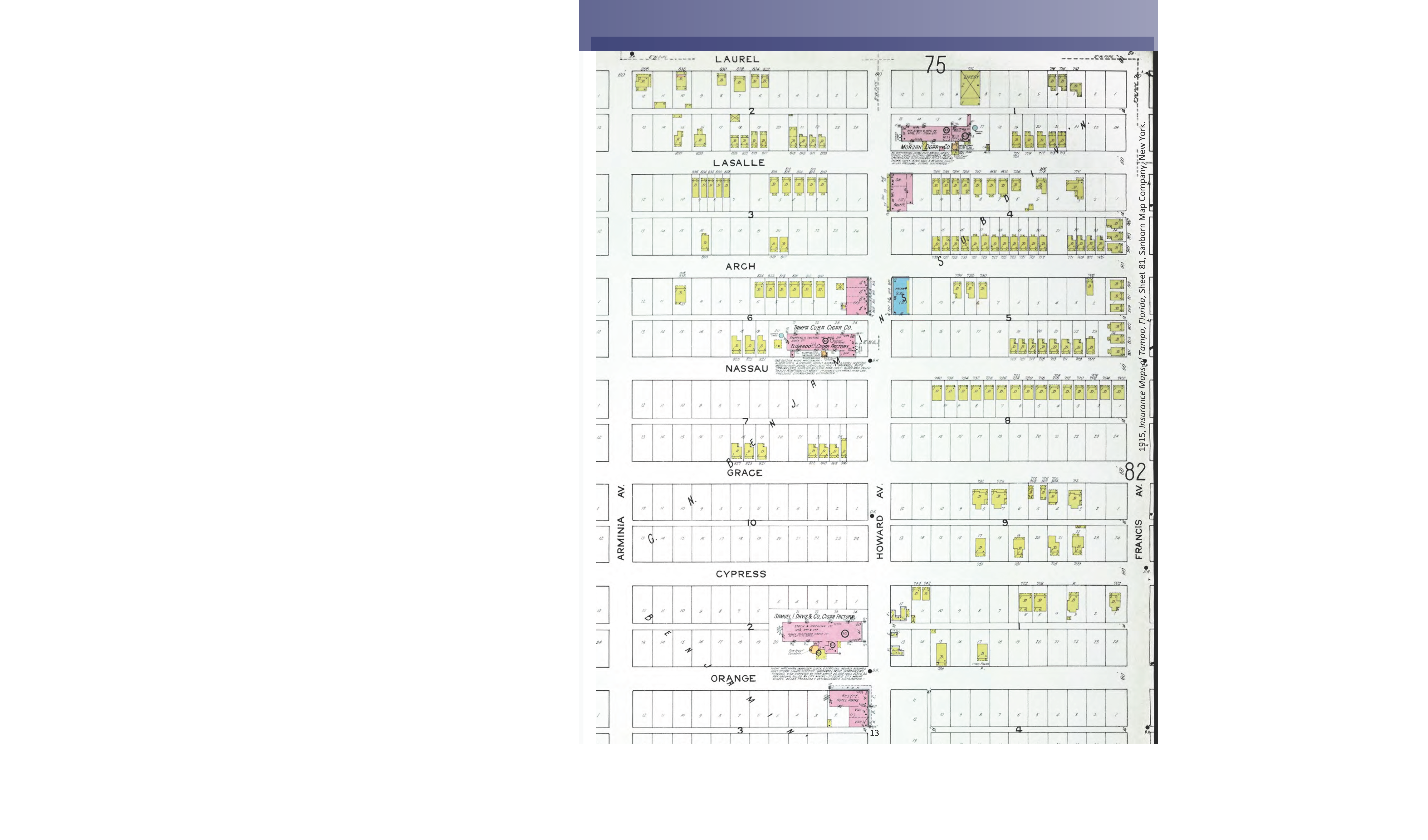 A detailed layout of a plant schematic, featuring labeled sections, color-coded areas, and various configurations of equipment.