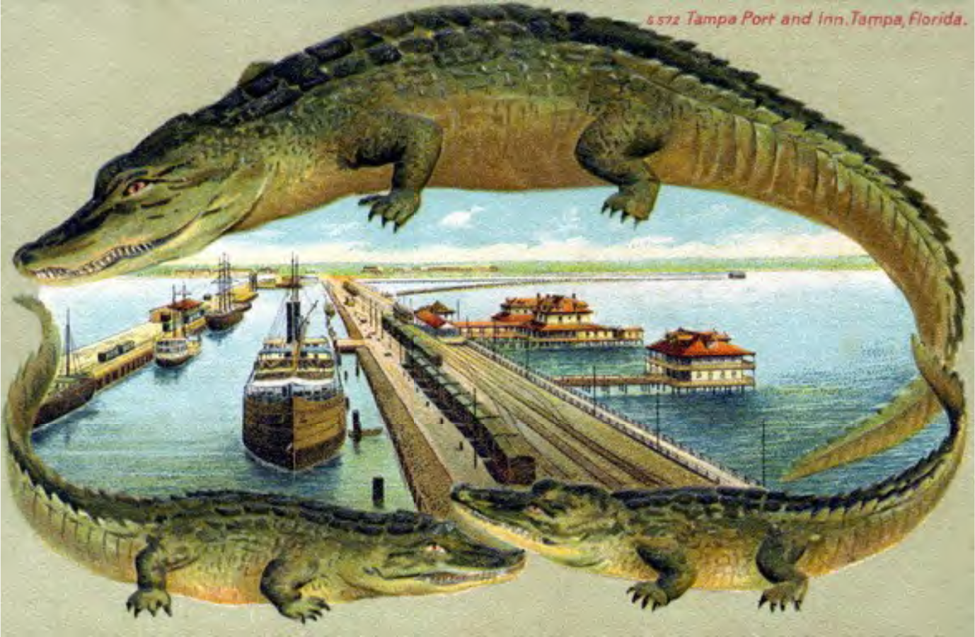 Vintage postcard depicting Tampa Port and Inn, Florida, with illustrations of alligators framing the scene.
