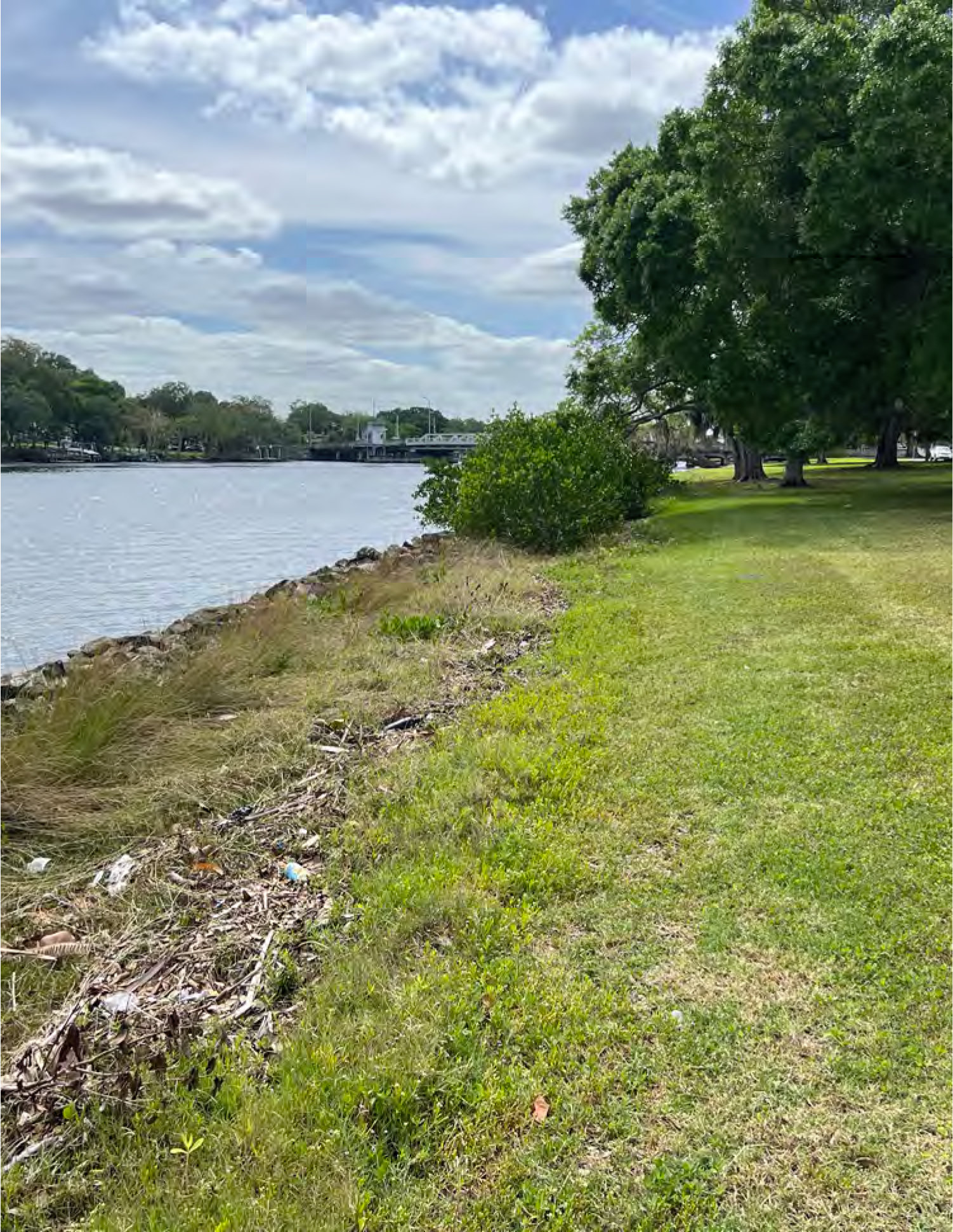 Lawn beside a river with greenery and trees, cloudy sky above.