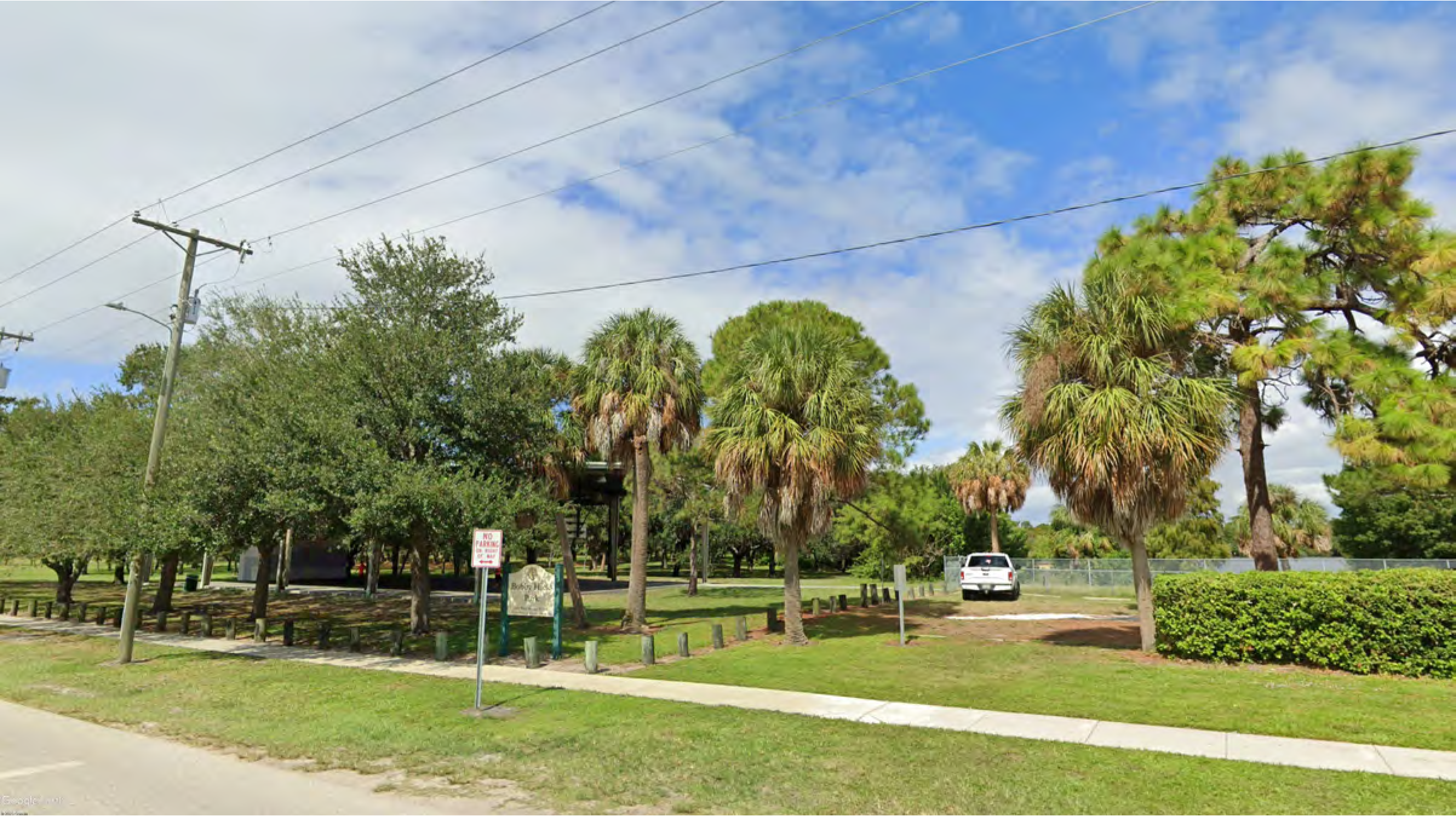 A quiet park scene featuring palm trees, green grass, a parked white vehicle, and a cloudy sky.