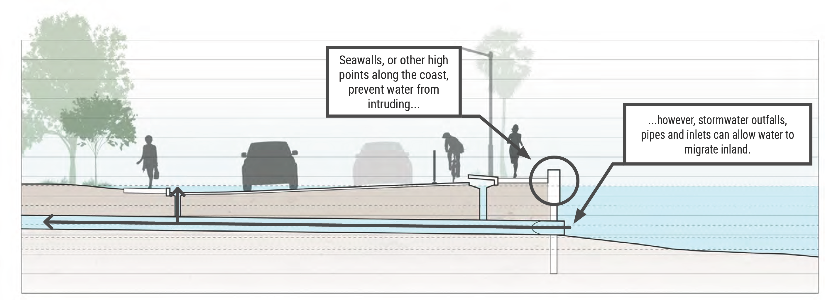 Illustration showing seawalls preventing coastal water intrusion, with stormwater infrastructure allowing water migration inland.