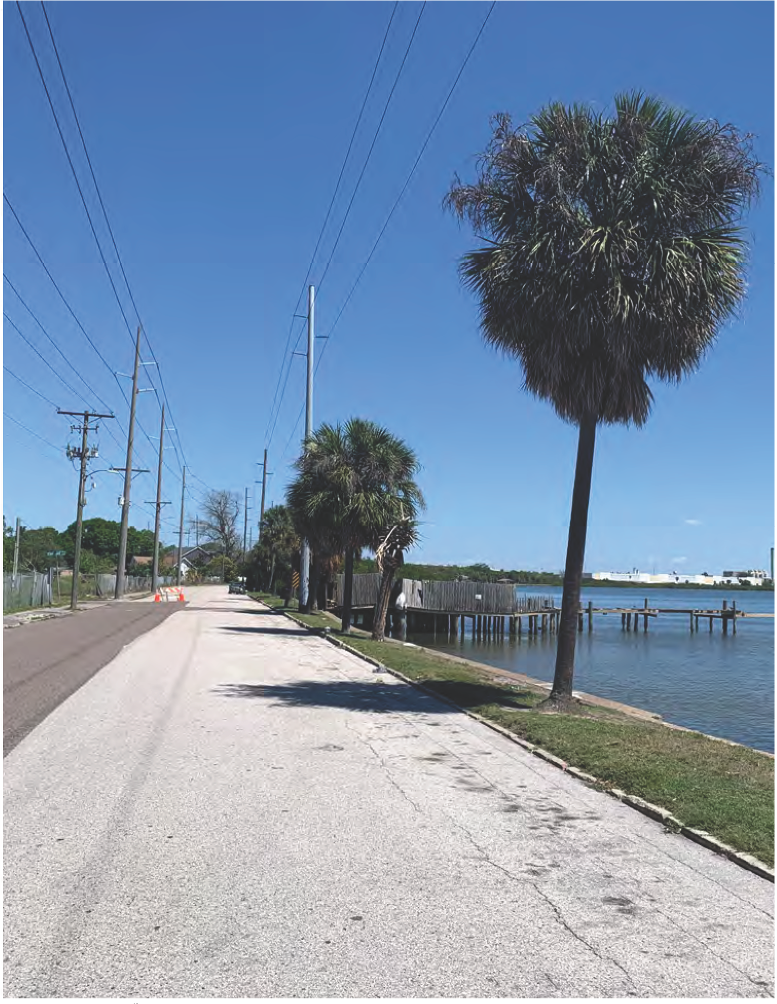 A wide, sunny road lined with palm trees, leading to a waterfront pier beside a calm body of water.