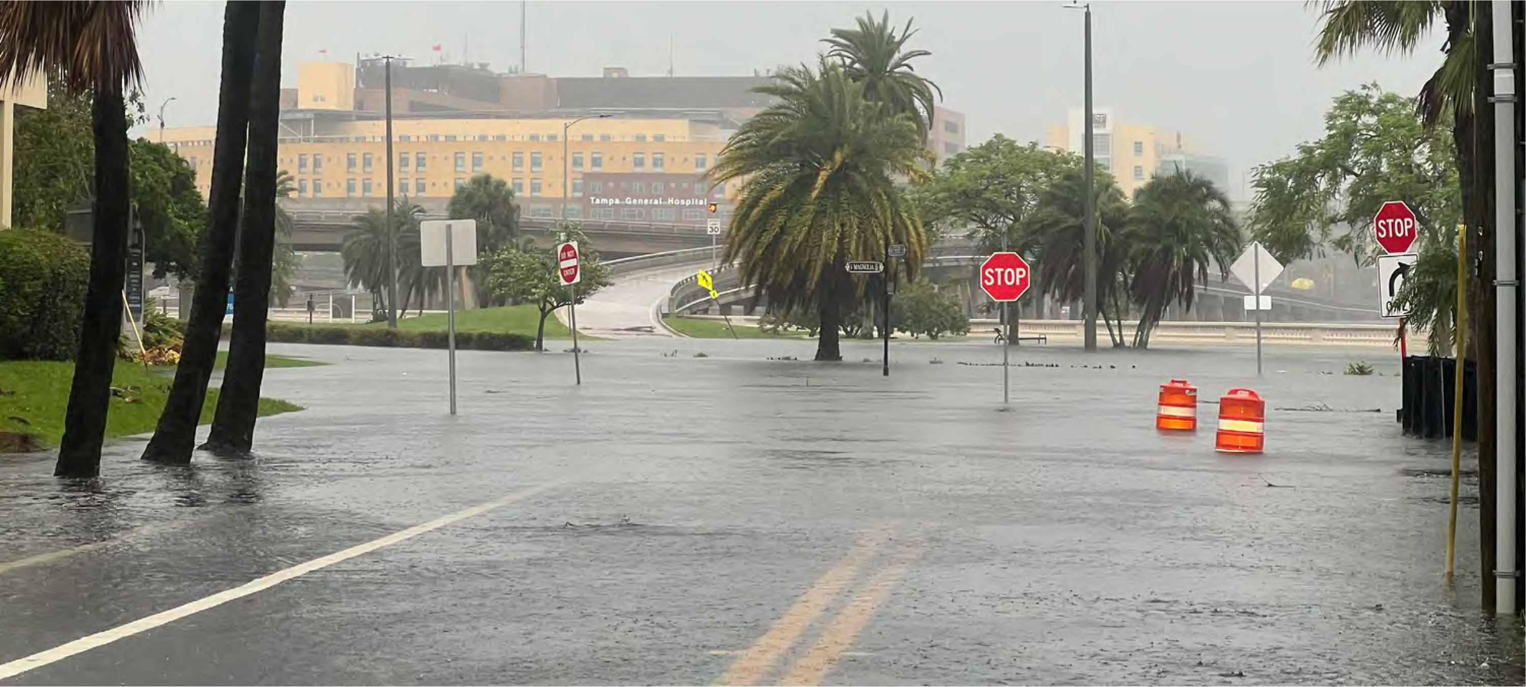 Flooded street with palm trees, stop signs, and orange traffic barrels in a heavy rainstorm.