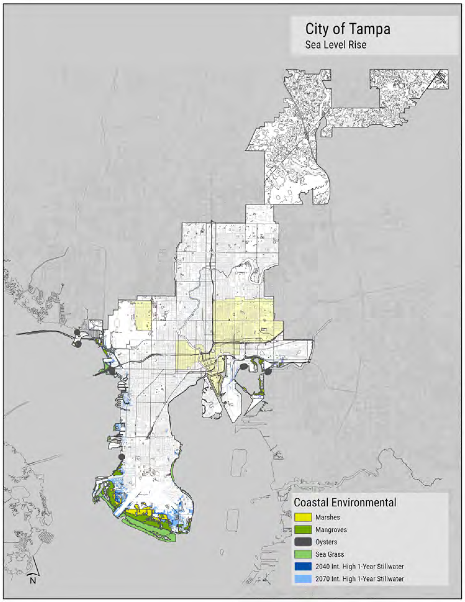 Map of Tampa showing coastal environmental areas affected by sea level rise, including marshes, mangroves, seagrass, and oysters.