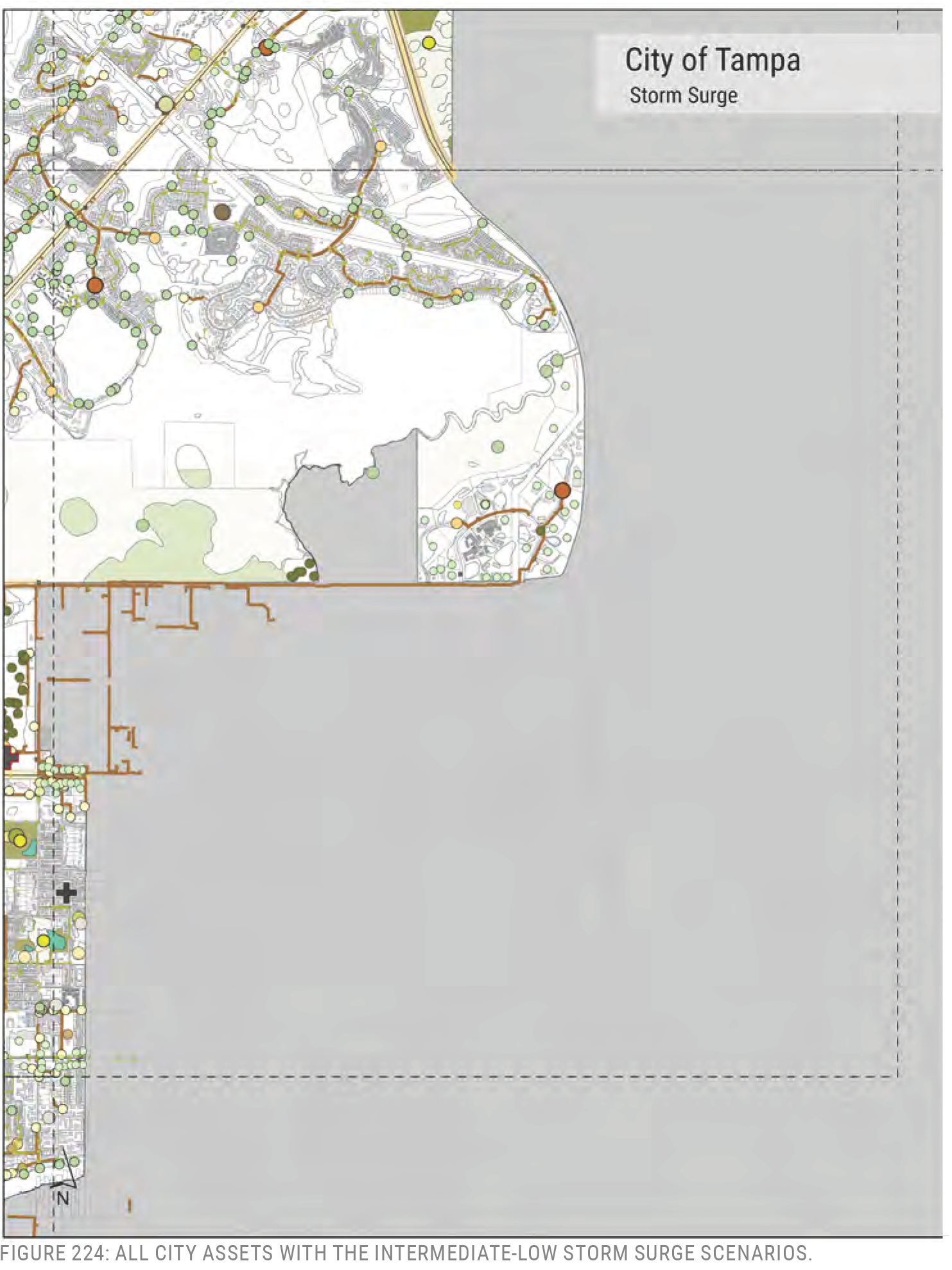 Map of the City of Tampa showing assets and areas affected by intermediate-low storm surge scenarios.