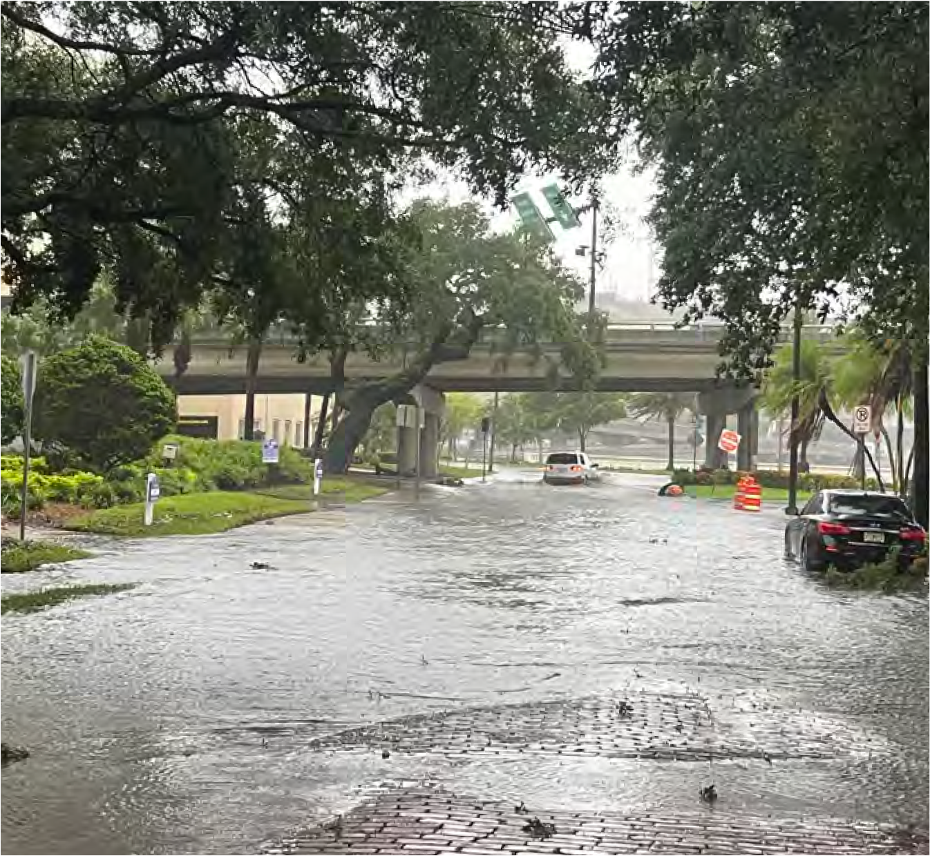 A flooded street with standing water, parked cars, and trees, under overcast skies during heavy rain.