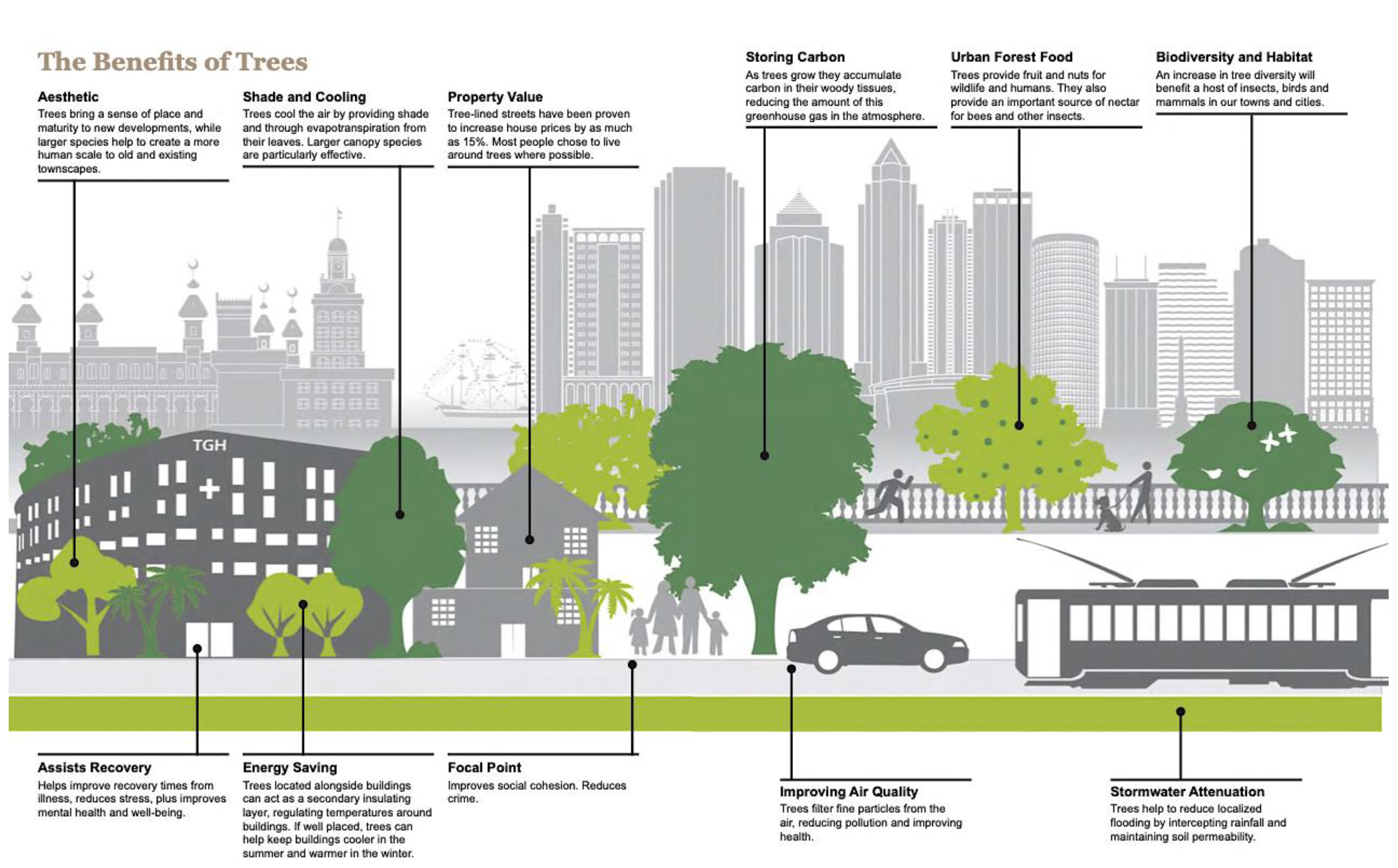 Infographic highlighting the various benefits of trees, including aesthetics, energy savings, air quality improvement, and urban biodiversity.