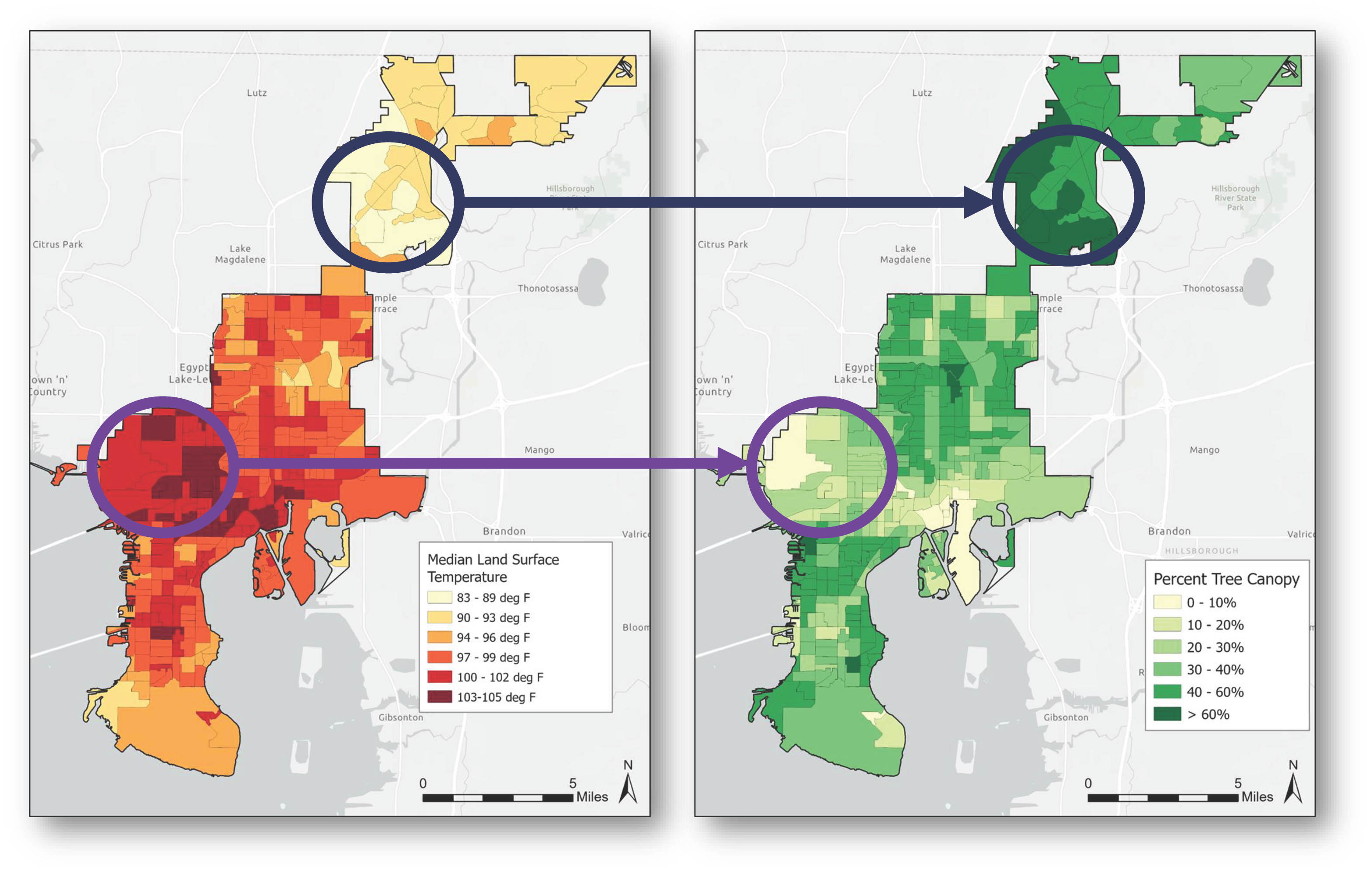 Side-by-side maps showing median land surface temperature (left) and percent tree canopy cover (right) in a urban area.