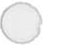 A small, round, white object with a slight outline, appearing somewhat blurred.
