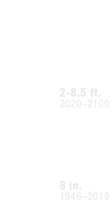 Text displaying height ranges of 2-8.5 feet and 8 inches, with corresponding years 2020–2100 and 1946–2019.