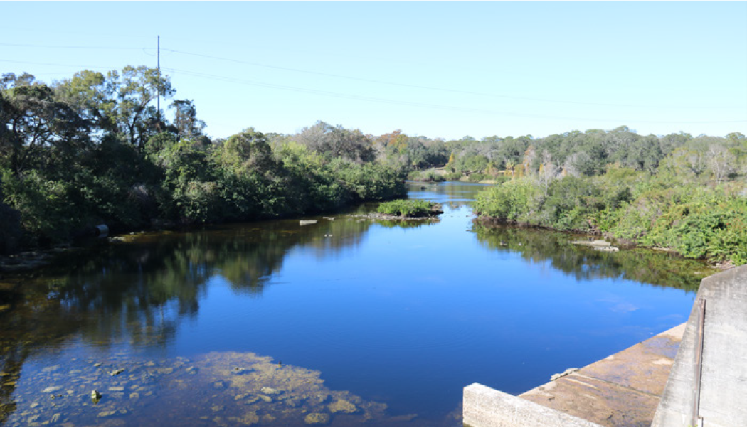 A tranquil river surrounded by lush greenery and trees, reflecting the clear blue sky.