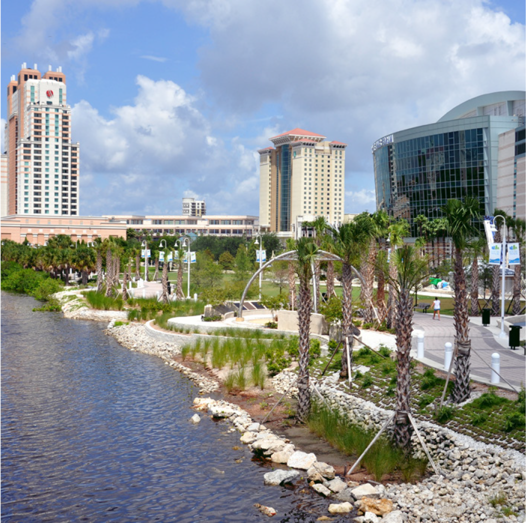 Waterfront park with palm trees, modern buildings, and cloudy sky in a coastal city setting.
