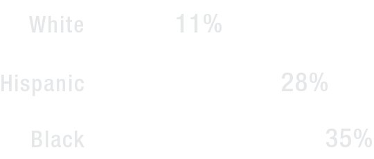 Pie chart displaying demographic percentages: White 11%, Black 35%, Hispanic 28%.
