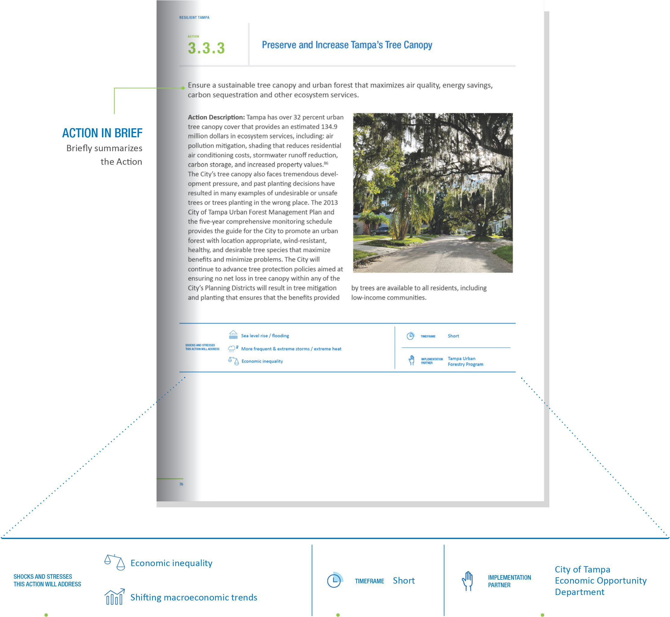 Summary of an initiative to preserve and increase Tampa's tree canopy, highlighting economic savings and environmental benefits.