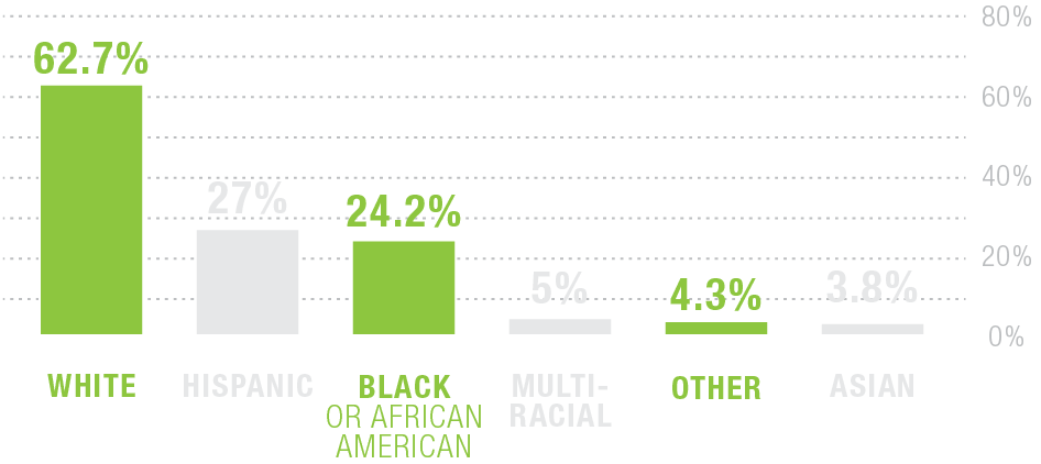 Bar graph showing percentage of demographics: 62.7% White, 27% Hispanic, 24.2% Black or African American, 5% Multi-Racial, 4.3% Other, 3.8% Asian.
