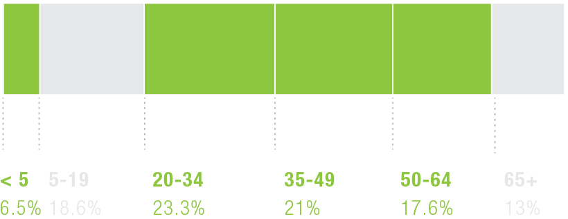 Bar chart illustrating age distribution percentages across different age groups with corresponding values.