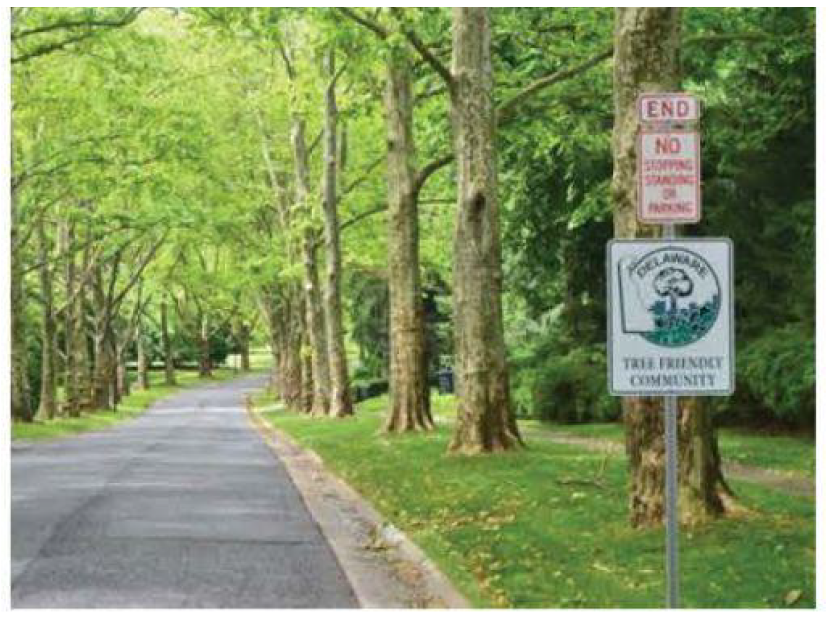 Tree-lined road with a sign indicating the end of a street and a tree-friendly community.