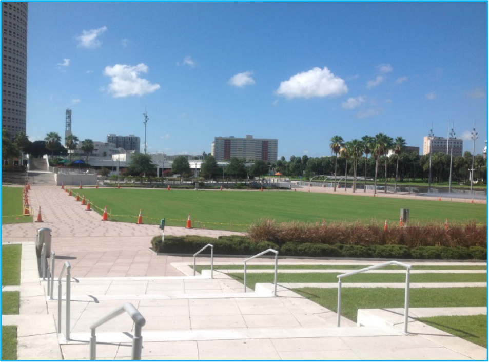 Open park area with green grass and palm trees, surrounded by buildings under a clear blue sky.