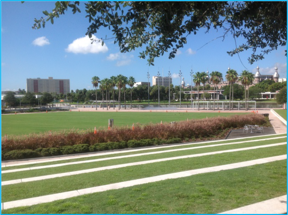 A park scene with a large grassy area, landscaped paths, palm trees, and buildings in the background under a blue sky.
