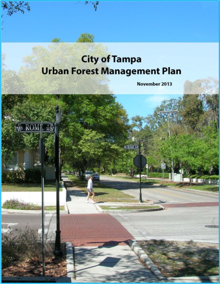 Cover page of the City of Tampa Urban Forest Management Plan, featuring a tree-lined street with signage.