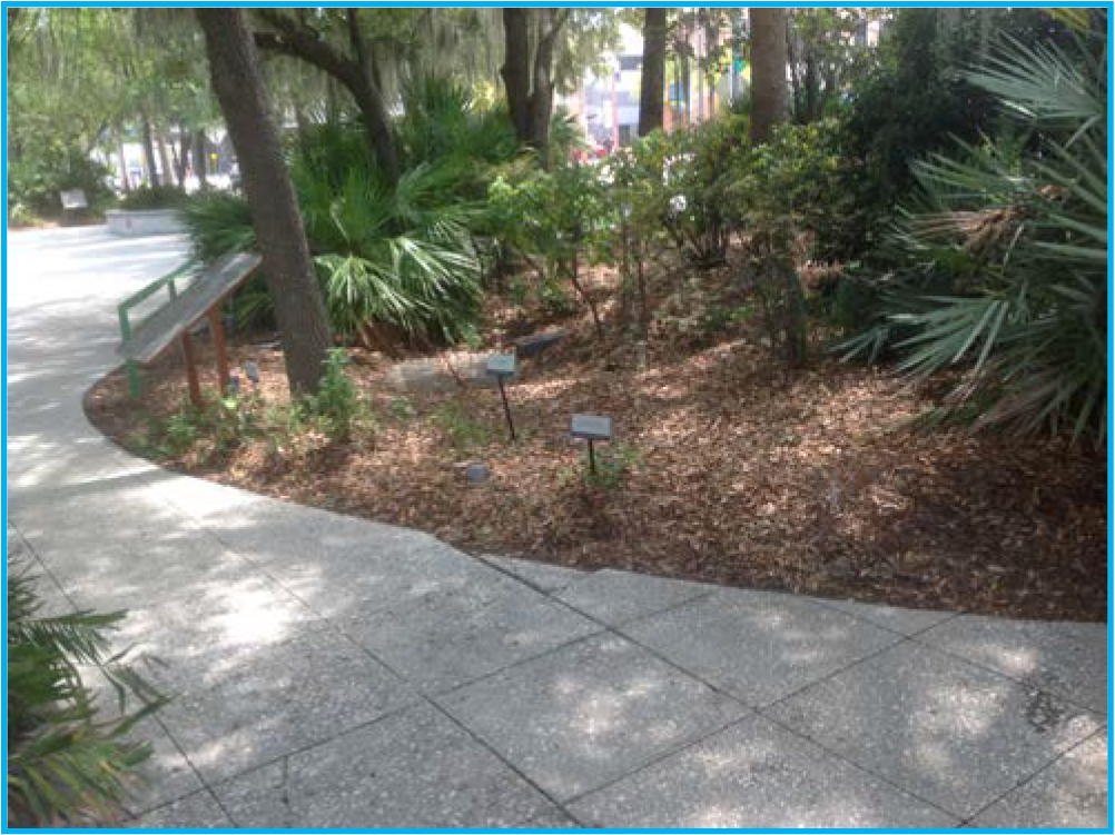 A paved walkway curves through a lush park area filled with trees and greenery.