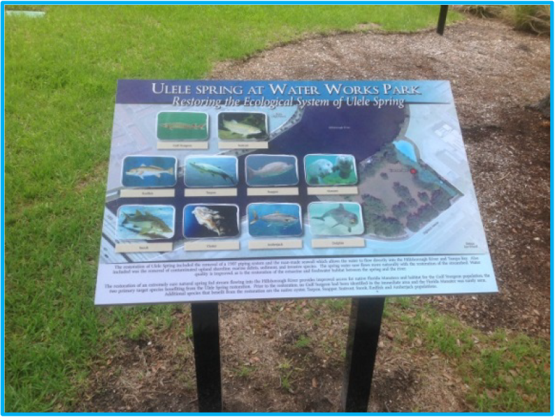 Sign at Water Works Park detailing Ulele Spring's ecological restoration with images of various fish species.