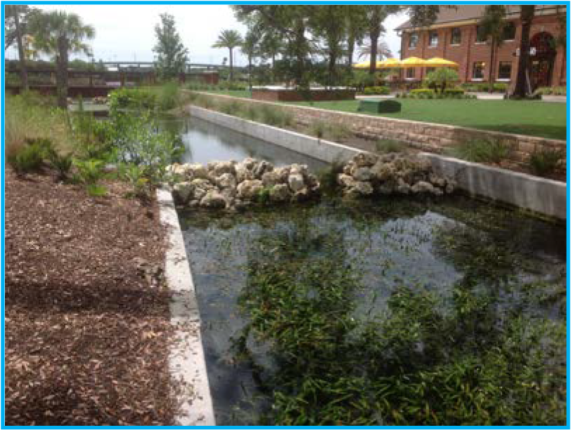 A landscaped area with a water feature, vegetation, and a building in the background. Sunny outdoor setting with palm trees and seating.