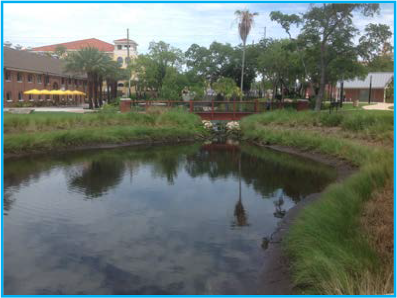 A serene pond surrounded by greenery and palm trees, with a small bridge in the background.