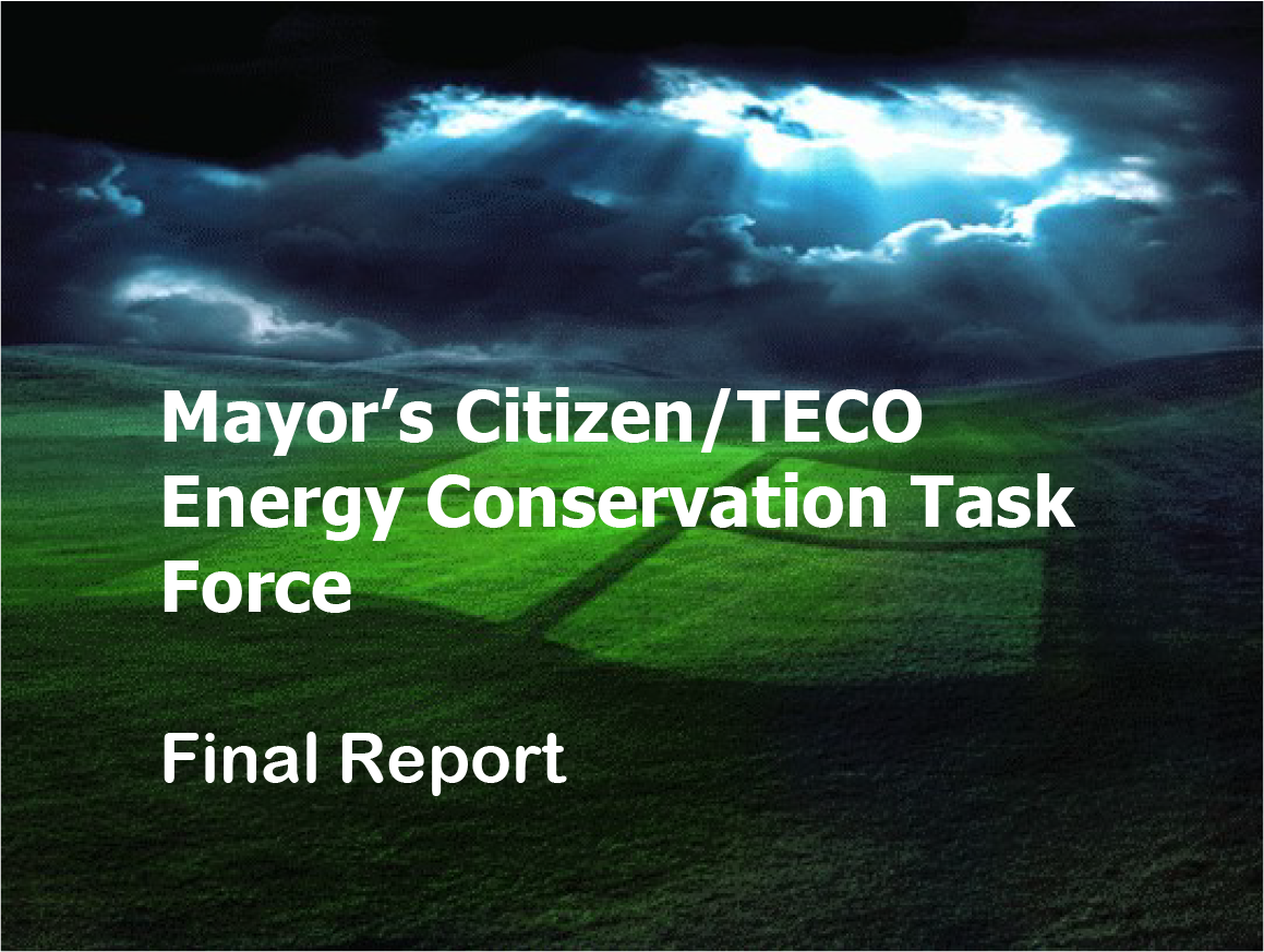 Title slide of the Mayor's Citizen/TECO Energy Conservation Task Force Final Report, featuring a dramatic sky and green field.