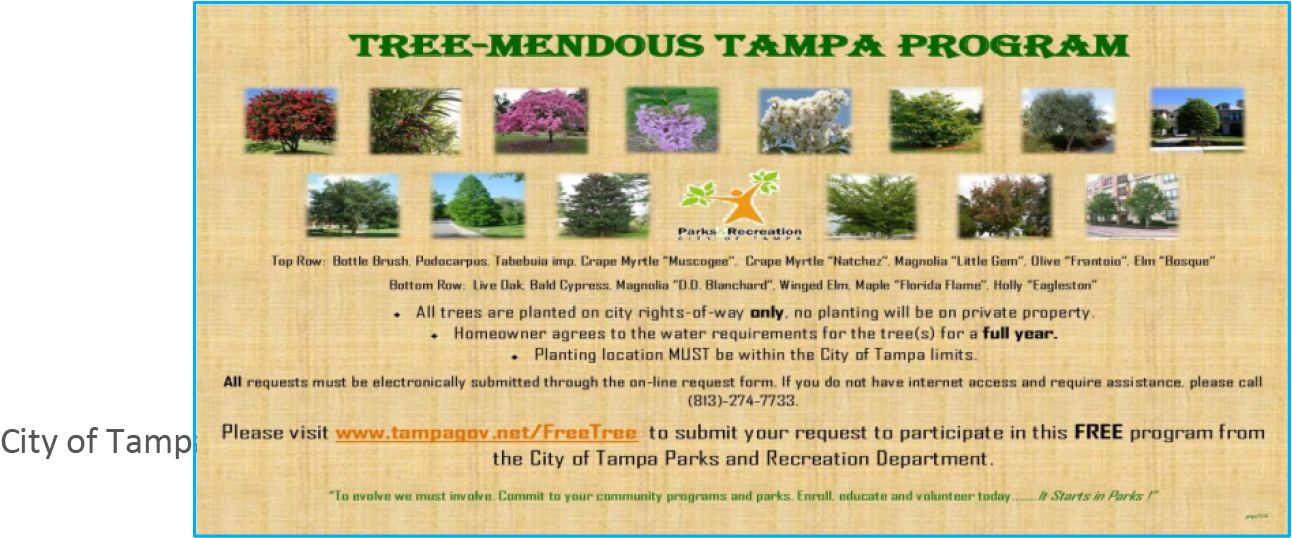Promotional flyer for Tree-Mendous Tampa program offering free trees for homeowners, listing requirements and application details.